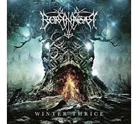 Borknagar - Winter Thrice - Vinyl Record VINYL - F72z