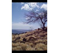 BORN AT THE BORDER: From Survival to Responsibility (A Novel Based on a True Story): 2