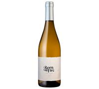 Born of Fire Chenin Blanc Organic 2024 - Julien Schaal Cape Coast