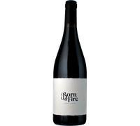 Born of Fire Syrah Biologico 2024 - Julien Schaal Cape Coast