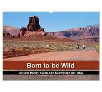 Born to be Wild - Mit der Harley durch den Südwesten der USA (Wandkalender 2026 DIN A2 quer), CALVENDO Monatskalender: Die landschaftlichen Highlights ... Südwestens im Sattel einer Harley