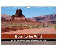 Born to be Wild - Mit der Harley durch den Südwesten der USA (Wandkalender 2026 DIN A4 quer), CALVENDO Monatskalender: Die landschaftlichen Highlights ... Südwestens im Sattel einer Harley