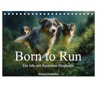 Born to run - Ein Jahr mit Australian Shepherds (Tischkalender 2027 DIN A5 quer), CALVENDO Monatskalender: Der ultimative Aussie - Kalender!