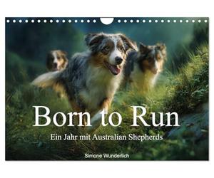 Born to run - Ein Jahr mit Australian Shepherds (Wandkalender 2027 DIN A4 quer), CALVENDO Monatskalender: Der ultimative Aussie - Kalender!