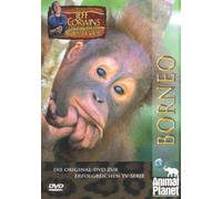 Borneo - Jeff Corwins tierische Abenteuer
