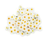 Bornfeel Fiori Margherite 100 Pezzi Fiori Finti Bomboniere Fiore Artificiale Corolla in Seta per Pasqua Tavola Cofano Matrimonio Festa Cerimonia Decorazione 38 x 38 x 20 mm Bianco
