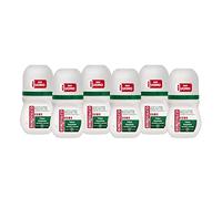 Borotalco, Deodorante Uomo Roll On Asciutto Originale, Formula Senza Alcool con Talco Assoluto, Assorbe il Sudore, Profumo Borotalco, 72h di Efficacia - 6 Pezzi da 50 ml