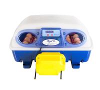 INCUBATRICE AUTOMATICA "REAL24 " BOROTTO - 24/96 uova | INCUBATRICI ITALIANE