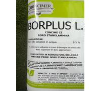 Borplus L. (8,5%) Boro Etanolammina Concime Liquido BIO Choncimer 6 KG