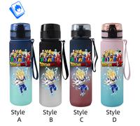 Borraccia Anime Dragon Ball 650ml in Acciaio Inox | Idea Regalo per Otaku Fan