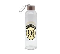 Borraccia HP Hogwarts Express 500 ml in vetro