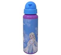 Borraccia in alluminio con cannuccia Frozen Disney Elsa Olaf bottiglia 550 ml accessorio per bambini