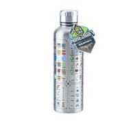 Borraccia Minecraft Bottiglia da Viaggio, Inossidabile, 470ml
