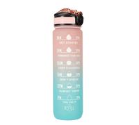 Borraccia rosa 1L per palestra con beccuccio e misurino motivazionale - Rosa-blu