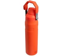 Borraccia STANLEY The Aerolight™ IceFlow™ Fast Flow 0.6L / 20oz Tigerlily 10-12515-003