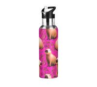 Borraccia termica da 590 ml, senza BPA, per sport, palestra, viaggi, scuola, motivo: capibara dei cartoni animati, rosa