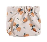 Borsa a chiusura automatica della moneta della borsa della primavera di viaggio, borse dell'oggetto del cavo di dati, borsa di stoccaggio del cambiamento delle donne, Albicocca, casual