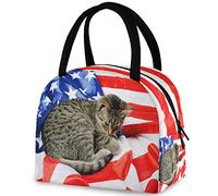 Borsa a mano riutilizzabile per il pranzo con gatto della bandiera americana con tasca frontale, chiusura termica con cerniera isolata, borsa termica per lavoro scolastico, picnic, viaggi, pesca, spia