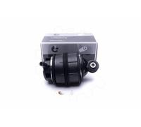 ESEN SKV 58SKV057 Molla pneumatica