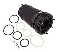 BORSA A SOSPENSIONE PNEUMATICA ANTERIORE DESTRA for BMW X5 E53