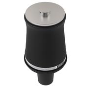 Borsa a sospensione pneumatica anteriore for Land Rover Range Rover P38