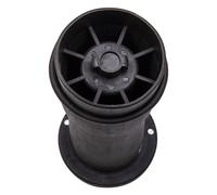 Borsa a sospensione pneumatica posteri for Land Rover Discovery 2 TD5 RKB101200