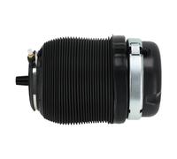 Borsa a sospensione pneumatica posteriore for Audi A6 4F C6 Allroad 4F0616001J