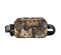 Borsa a tracolla con gatti scozzesi pieghevoli marroni, per donne, uomini, adolescenti, impermeabile, con cinghia regolabile, per allenamento, corsa, escursionismo, Cute Scottish Fold gatti Marrone, 1