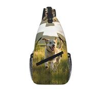 Borsa a tracolla per cani borsa a tracolla tracolla tracolla in vita marsupio uomo donna