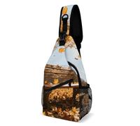 Borsa A Tracolla Sul Petto Central Park Bench Zaino Sul Petto Resistente Monospalla Portatile Sling Bag Per Viaggi Escursioni Il Ciclismo