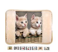 Borsa Acqua Calda Elettrica in Peluche 500W, Scaldino Elettrico Scaldamani, Portatile e Ricaricabile, Scalda Mani e Piedi in Casa, a Letto, per Giornate Fredde, Dolori Mestruali (Coppia di Gatti)