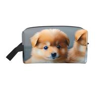 Borsa da viaggio con stampa di cuccioli di Pomerania e Point 1, borsa da toilette per uomo e donna, per viaggi, palestra, uso quotidiano
