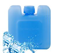 Borsa Del Ghiaccio, Blocco Refrigerante Riutilizzabile, Borsa Freezer A Tenuta Stagna Per Il Raffreddamento, Compatto Per La Conservazione Del Freddo, Facile Da Trasportare, Piccola, Grande Per