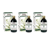 Borsa Del Pastore Estratto Integrale 200 Ml 3x200 ml Soluzione orale