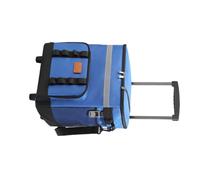 Borsa di raffreddamento a rullo pesante con ruota di durata per gli acquisti di famiglia Beach Thermal Retenion Cooler Con ruota di durata