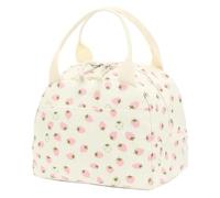 Borsa For Il Pranzo, Borsa For Alimenti Isolata Termicamente | Custodia For Alimenti For La Scuola Dei Bambini, Scenari Di Conservazione Quotidiana Degli Alimenti For Picnic(E)