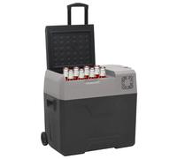 Borsa Frigo con Ruote Adattatore Nera Grigia 50 L Polipropilene