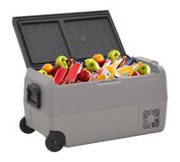 Borsa Frigo con Ruote e Adattatore Nera e Grigia 50 L PP e PE