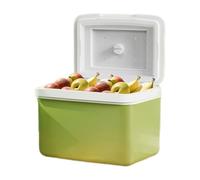 Borsa frigo da campeggio, portatile, a prova di perdite, con raffreddamento a lungo termine, borsa termica leggera, per campeggio, escursioni, picnic e viaggi avventurosi, robusta e facile da