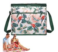 Borsa Frigo - Porta Vivande Piegevole 18 Litri | Morbida Grande Portatile Pranzo Isolata Zaino Termico Per Picnic Spiaggia Pesca Escursionismo