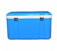 Borsa Frigo Rigida, Contenitore Termico | Componenti in metallo, Cassa Refrigerata Durevole, Trasporto bevande, Per Commessi Viaggiatori
