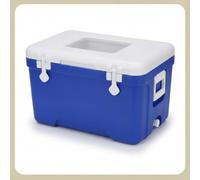 , Borsa Frigo Rigida | Struttura in HDPE, Box Termico , Per Picnic , Per Proprietari Cani