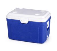 , Borsa Frigo Rigida | Struttura in HDPE, Box Termico , Per Picnic , Per Proprietari Cani