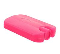 Borsa Ghiaccio Portatile per Refrigeratore, Plastica e Gel, Sigillata | Fonte Fredda Portatile, Design a Perdite, per Spiaggia, Campeggio e Oggetti Sensibili