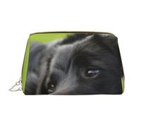 Borsa grande per trucco, Borsa per cosmetici in pelle Borsa da viaggio per articoli da toeletta Borsa per trucco, Cani Black Labrador Camomilla Black Retriever