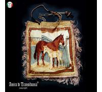 borsa grande vintage equitazione cavallo pochette casual tracolla elegante donna