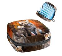 Borsa mestruale,Sacchetto di immagazzinaggio del tovagliolo sanitario,Porta tamponi per borsa, R05z2lj9hqs, 4.7x6.6x6.6 in, Comodi