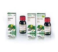 Borsa del Pastore Soluzione Idroalcolica 4 Specchiasol 50ml