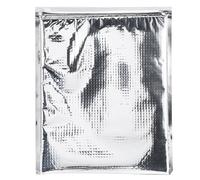 Borsa per alimenti isolata con cerniera, borse per alimenti freddi per alimenti, sacchetti termici riutilizzabili per il pranzo, 5 pezzi(30 * 35cm)