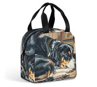 Borsa per il pranzo con cani che dormono in casa, per donne e uomini, borsa termica portatile con manico, a prova di perdite, riutilizzabile, per lavoro, picnic, viaggi